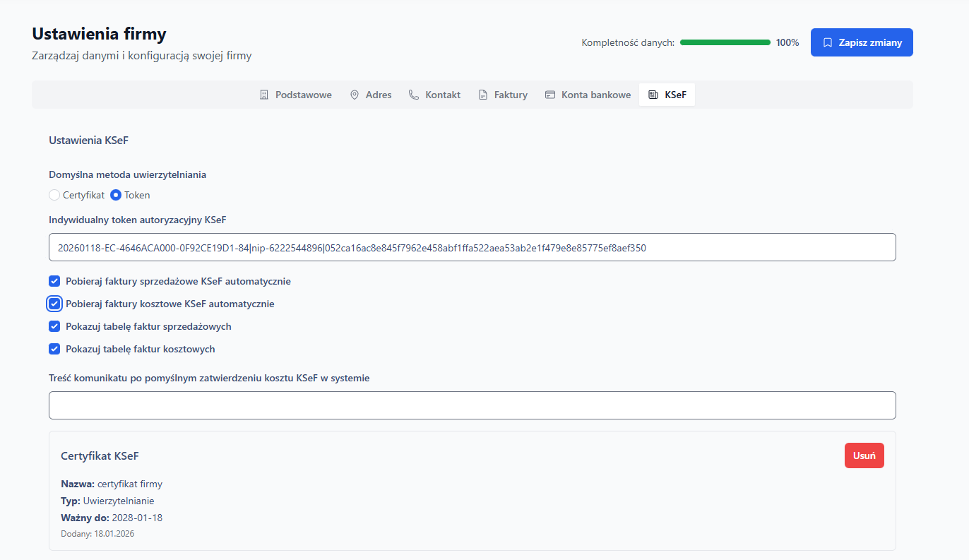 Ustawienia KSeF z tokenem